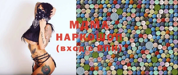 МДПВ Инсар