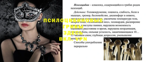 мет Баксан