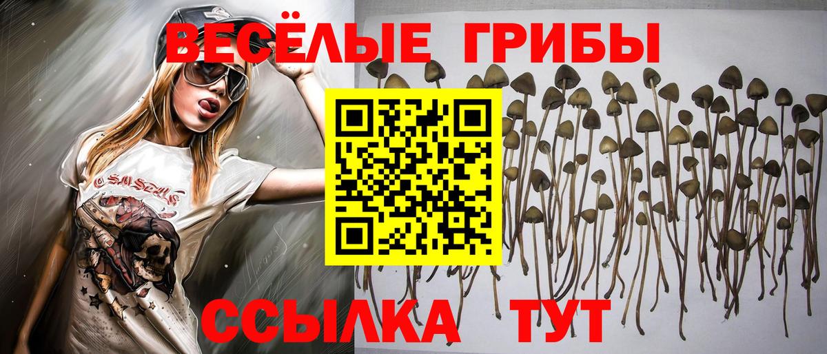 Галлюциногенные грибы мицелий  Вход с VPN  Черняховск  Галлюциногенные грибы мухоморы 
